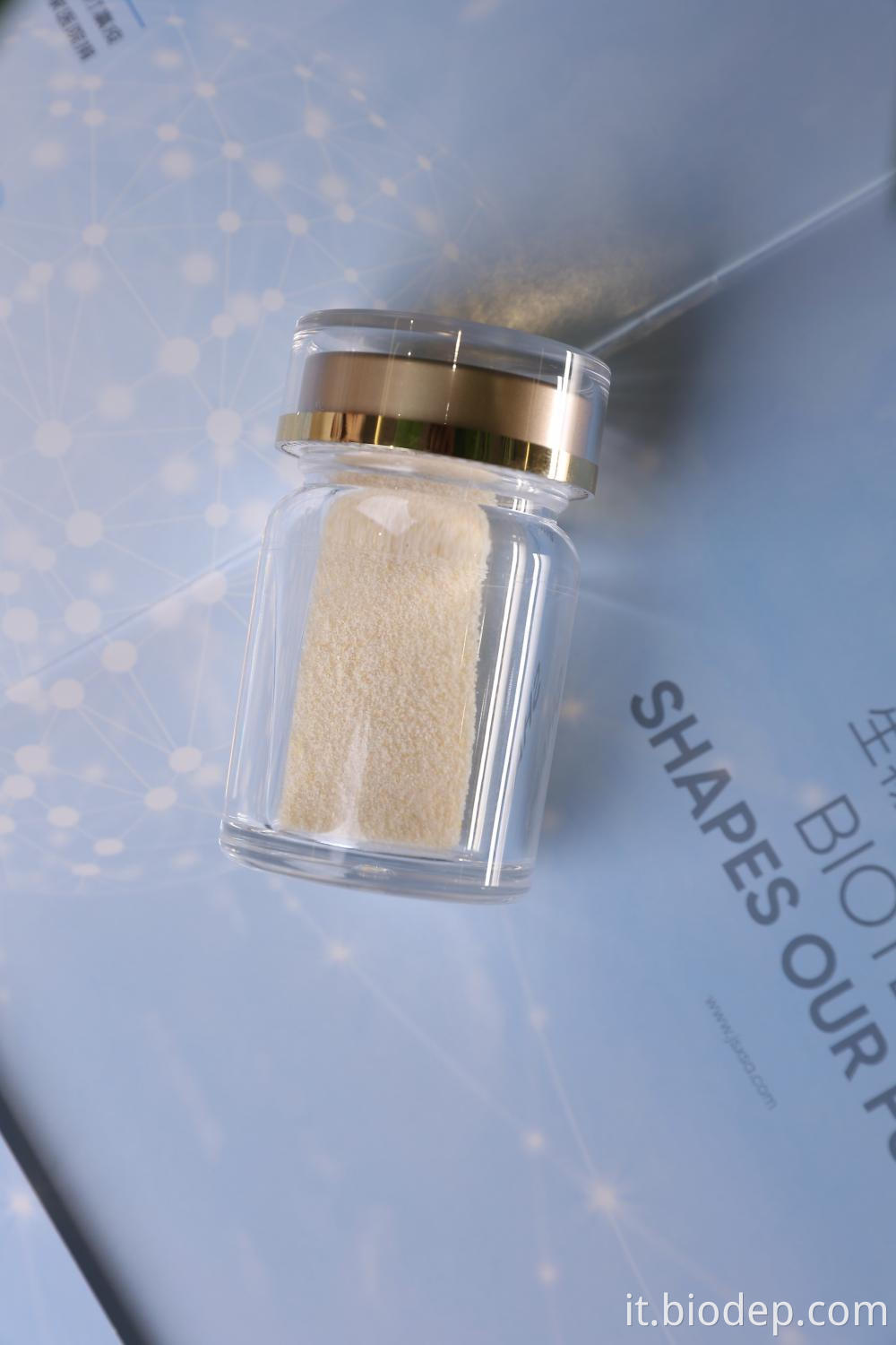 Akkermansia Muciniphila Akkermansia muciniphila